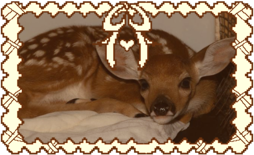 m_python__spanish_inquisition_by_pyrostorm_d1k14lx